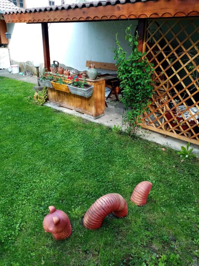 ホテル Borova House トリャブナ エクステリア 写真